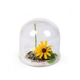 Campana con Plato 11x10x5 cm.